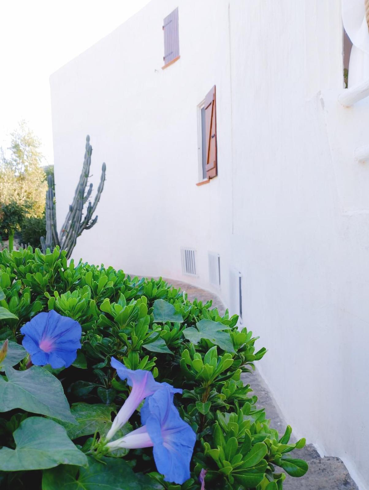 Villa Anna 300 M Dal Mare Torre delle Stelle Luaran gambar