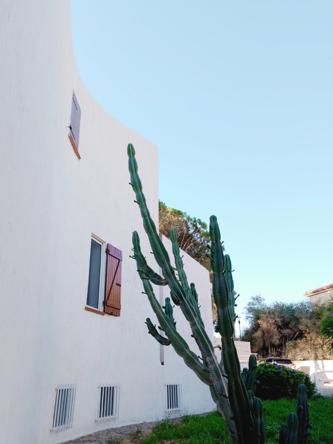 Villa Anna 300 M Dal Mare Torre delle Stelle Luaran gambar